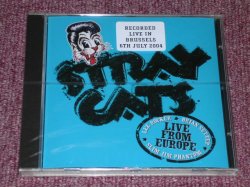 画像1: STRAY CATS - RECORDED LIVE BRUSSELS 6TH JULY / 2004 US ORIGINAL Sealed CD  
