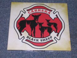 画像1: CARRERA - BLACK SHEEP / 2007 HOLLAND SEALED CD 