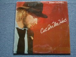 画像1: BOBBY CALDWELL - CAT IN THE HAT  /  1980 US ORIGINALSEALED LP