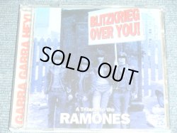 画像1: V.A. OMNIBUS With RAMONES - ABLITZKRIEG OVER YOU ! ; A TRIBUTE TO THE RAMONES / 1998 GERMAN  ORIGINAL Brand New CD 