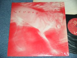 画像1: REDDOG - REDDOG  / 1986 US ORIGINAL Used LP from INDEPENDENT Label 