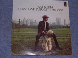 画像1: ANDY KIM - HOW'D WE EVER GET THIS WAY / Late 1960s US ORIGINAL LP 