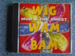 画像1: MUD & SWEET - WIG WAM BAM  / 2000 GERMANY SEALED CD 