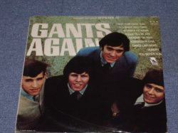 画像1: THE GANTS - GANTS AGAIN!   / 1966 US ORIGINAL STEREO LP 