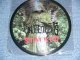 INDEPENTENTS - STALKER ( 10" PICTURE DISC ) / 1997 US ORIGINAL BRAND NEW 10" LP 