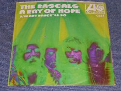 画像1: RASCALS - A DAY OF HOPE / 1968 US ORIGINAL 7"45 Single With PICTURE SLEEVE