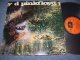 PINK FLOYD, THE  - A SAUSERFUL OF SECRETS / AUSTRALIA ORANGE LABEL LP 