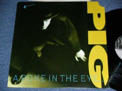 画像1: PIG - A POKE IN THE EYE WITH A SHARP STICK / 1988 US ORIGINAL Used  LP 