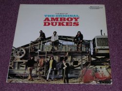 画像1: AMBOY DUKES- THE BEST OF US ORIGINAL LP