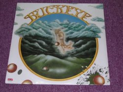 画像1: BUCKEYE - BUCKEYE / US ORIGINAL Sealed LP 