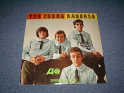 画像1: THE YOUNG RASCALS -THE YOUNG RASCALS / 1966 US ORIGINAL 'RED & PRUPLE Label' MONO  LP 