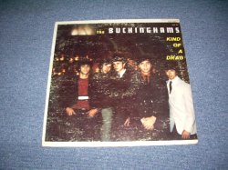 画像1: THE BUCKINGHAMS - KIND OF A DRAG / 1967 US ORIGINAL MONO LP 