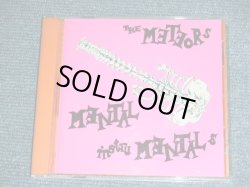 画像1: THE METEORS - MENTAL INSTRUMENTALS / 1995 EU ORIGINAL Used CD 