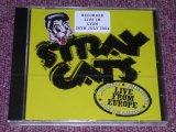 画像: STRAY CATS - RECORDED LIVE IN LION 26TH JULY/ 2004 US ORIGINAL Sealed CD 