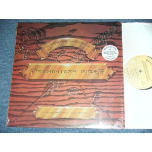 画像: ROBERT HUNTER of GRATEFUL DEAD  -  PROMONTORY  / 1982 US ORIGINAL Used LP 