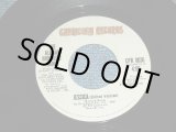 画像: THE ALLMAN BROTHERS BAND - JESSICA  / 1973 US ORIGINAL Used 7" inch Single