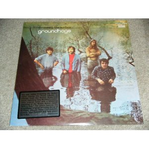画像: GROUNDHOGS -  SCRATCHING THE SURFACE / 2009 US REISSUE Brand New SEALED LP 