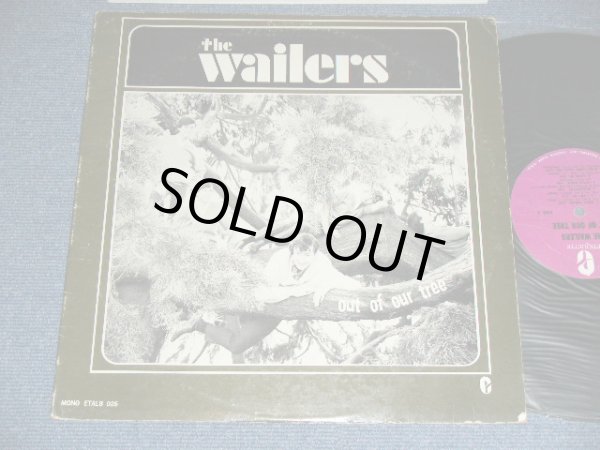 画像1: The WAILERS - OUT OF OUR TREE  ( VG+++.VG+++ )   /  1966 US AMERICA ORIGINAL MONO  Used  LP