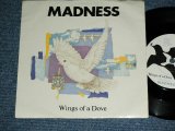 画像: MADNESS - WINGS OF A DOVE : BEHIND THE 8 BALLS  ( Ex++/Ex+++)  / 1983 UK  ENGLAND ORIGINAL  Used  7"Single  with PICTURE SLEEVE 