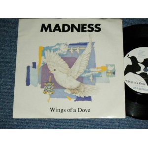 画像: MADNESS - WINGS OF A DOVE : BEHIND THE 8 BALLS  ( Ex++/Ex+++)  / 1983 UK  ENGLAND ORIGINAL  Used  7"Single  with PICTURE SLEEVE 