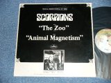 画像: SCORPIONS - THE ZOO & ANIMAL MAGNETISM  ( Ex/Ex+++)  / 1980 US AMERICA ORIGINAL "PROMO ONLY" Used 12"