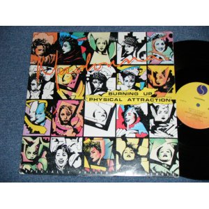 画像: MADONNA - BURNING UP ( Ex/Ex++ ) / 1983 US AMERICA ORIGINAL Used  12"