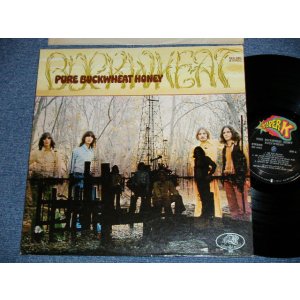 画像: BUCKHEAT - PURE BUCKHEAT HONEY  ( Ex+++/Ex+++ ) / Late 1960's  US AMERICA ORIGINAL Used LP