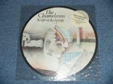 画像: The CHAMELEONS - SCRIPT OF THE BRIDGE : PICTURE DISC  ( -/MINT-)   / 1985 UK ENGLAND  ORIGINAL B"PICTURE DISC"  Used  LP