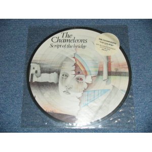 画像: The CHAMELEONS - SCRIPT OF THE BRIDGE : PICTURE DISC  ( -/MINT-)   / 1985 UK ENGLAND  ORIGINAL B"PICTURE DISC"  Used  LP