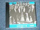 画像: THE POETS - SCOTLAND'S NO.1 GROUP (MINT-/MINT) /    Used CD 
