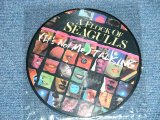 画像: A FLOCK OF SEAGULLS - (IT'S NOT ME) TALKING   (-/MINT-)  / 1983 UK ENGLAND  ORIGINAL "PICTURE DISC"  Used 7" Single 