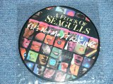 画像: A FLOCK OF SEAGULLS - (IT'S NOT ME) TALKING   (-/MINT-)  / 1983 UK ENGLAND  ORIGINAL "PICTURE DISC"  Used 7" Single 