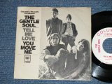 画像: THE GENTLE SOUL - TELL ME LOVE ( TERRY MELCHER WORKS ) ( Ex/Ex++) / 1966 US AMERICA ORIGINAL "WHITE LABEL PROMO" Used 7" Single With PICTURE SLEEVE 