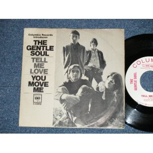 画像: THE GENTLE SOUL - TELL ME LOVE ( TERRY MELCHER WORKS ) ( Ex/Ex++) / 1966 US AMERICA ORIGINAL "WHITE LABEL PROMO" Used 7" Single With PICTURE SLEEVE 