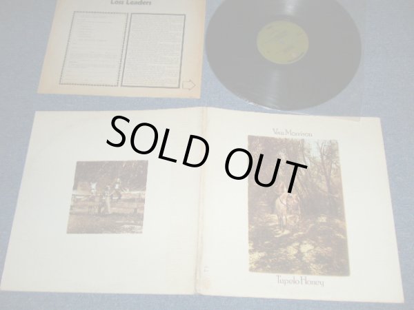 画像1: VAN MORRISON - TUPELO HONEY ( Matrix Number A)WS 1950 39987-1-1/B)WS 1950 39988-1-1 )( Ex/Ex,Ex+++) / 1971 US AMERICA 1st Press"WB" on TOP Label ORIGINAL Used LP 