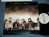 画像: The NORTHERN PIKES - SECRETS OF THE A;IBI ( Ex+/MINT-)  / 1988 CANADA ORIGINAL Used LP 