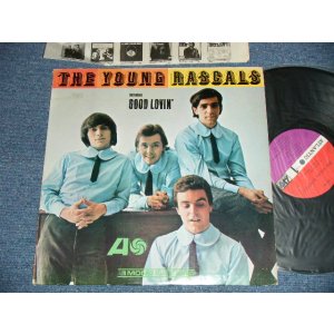 画像: THE YOUNG RASCALS -THE YOUNG RASCALS (Matrix # A-12359-A / A-12360-C ) ( Ex+/Ex+++ Looks:Ex+ ) / 1966 US ORIGINAL 'RED & PLUM(PURPLE)  LABEL' MONO Used   LP 