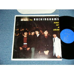 画像: The BUCKINGHAMS - KIND OF A DRAG (Ex++/Ex Looks:VG+++ )  / 1967 US AMERICA ORIGINAL MONO Used  LP