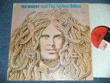 画像: TED NUGENT and The AMBOY DUKES - TED NUGENT and The AMBOY DUKES ( VG+++/Ex++ )  / 1976  US AMERICA  ORIGINAL  Used  LP 