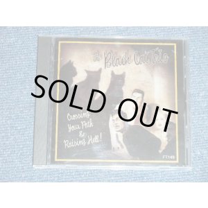 画像: The BLACK CAT TRIO - CROSSING YOUR PATH & RAISING HELL! ( NEW )  / 2014? US AMERICA   ORIGINAL "BRAND NEW"  CD