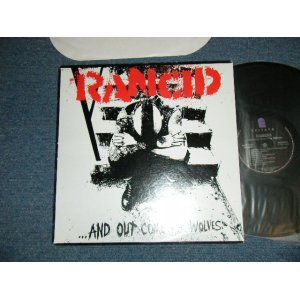 画像: RANCID - ...AND OUT COME THE WOLVES :With INSERTS( Ex++/Ex+++ Looks:Ex+)  / 1995 US AMERICA  ORIGINAL 1st Press "BLACK WAX Vinyl"  Used  LP