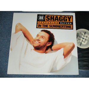 画像: SHAGGY - IN THE SUMMERTIME  ( MINT-/MINT-) /  1995  US AMERICA  ORIGINAL Used 12" 