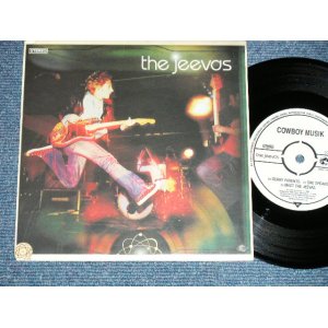 画像: The JEEVAS - SCARY PARENTS  ( Ex+++/Ex+++ )  / 2002  UK ENGLAND ORIGINAL Used 7"  Single with PICTURE SLEEVE 