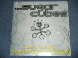 画像: THE SUGARCUBES (BJORK Björk) - HERE TODAY,TOMORROW NEXT WEEK ( SEALED) / 1989 US AMERICA ORIGINAL "BRAND NEW SEALED" 2-LP's 