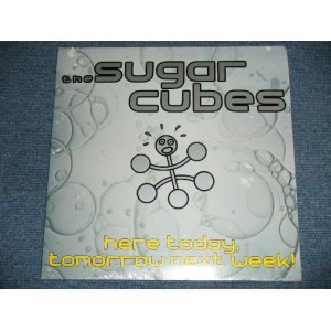 画像: THE SUGARCUBES (BJORK Björk) - HERE TODAY,TOMORROW NEXT WEEK ( SEALED) / 1989 US AMERICA ORIGINAL "BRAND NEW SEALED" 2-LP's 