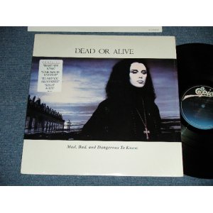 画像: DEAD OR ALIVE  - MAD, BAD, AND DANGEROUS TO KNOW ( MINT/MINT )   / 1986 US AMERICA  ORIGINAL Used LP 