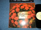 画像: STRANGLERS ,THE - NO MORE HEROES (Ex+++/MINT)  / WEST-GERMANY "DMM"  Used  LP