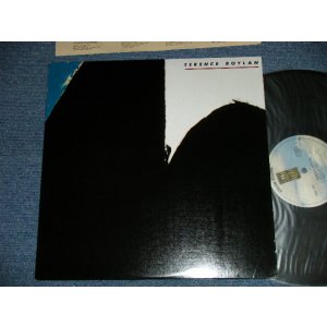 画像: TERENCE BOYLAN - TERENCE BOYLAN  (MINT-/MINT) / 1977 US AMERICA ORIGINAL Used LP 