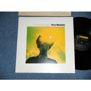 画像: TERRY MANNING - HOME SWEET HOME  (Ex+/MINT-) / 1971? US AMERICA ORIGINAL "PROMO" Used LP 