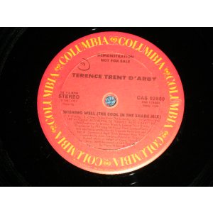 画像: TERENCE TRENT D'ARBY - WISHING WELL  ( Ex+++/MINT-)  / 1987 US AMERICA ORIGINAL "PROMO ONLY" Used 12" 